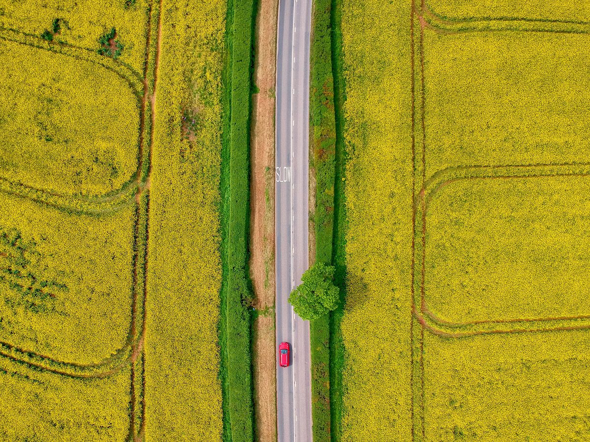 Devon Countryside Road