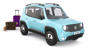 Dayinsure SUV with bags