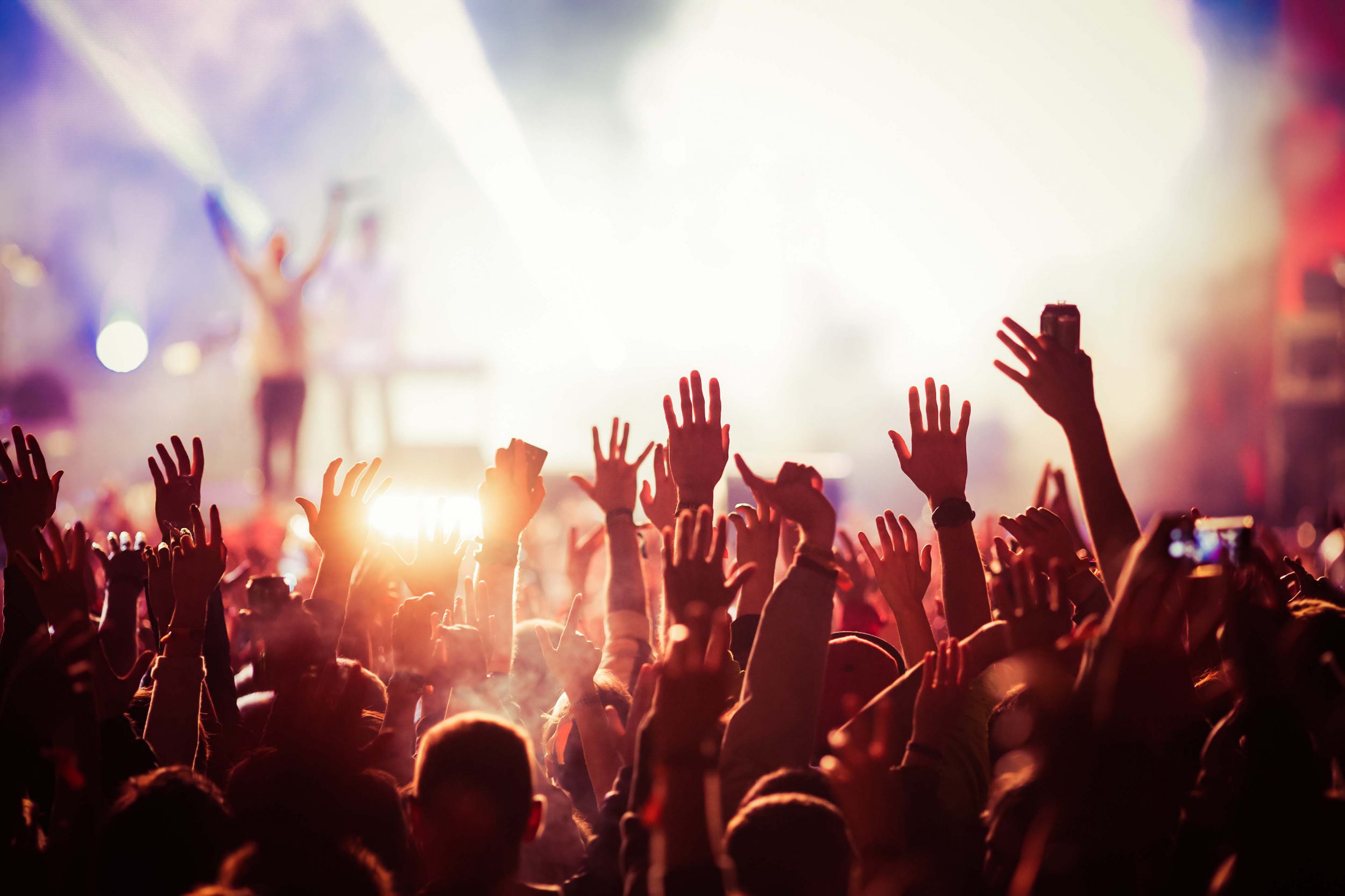 crowd at concert