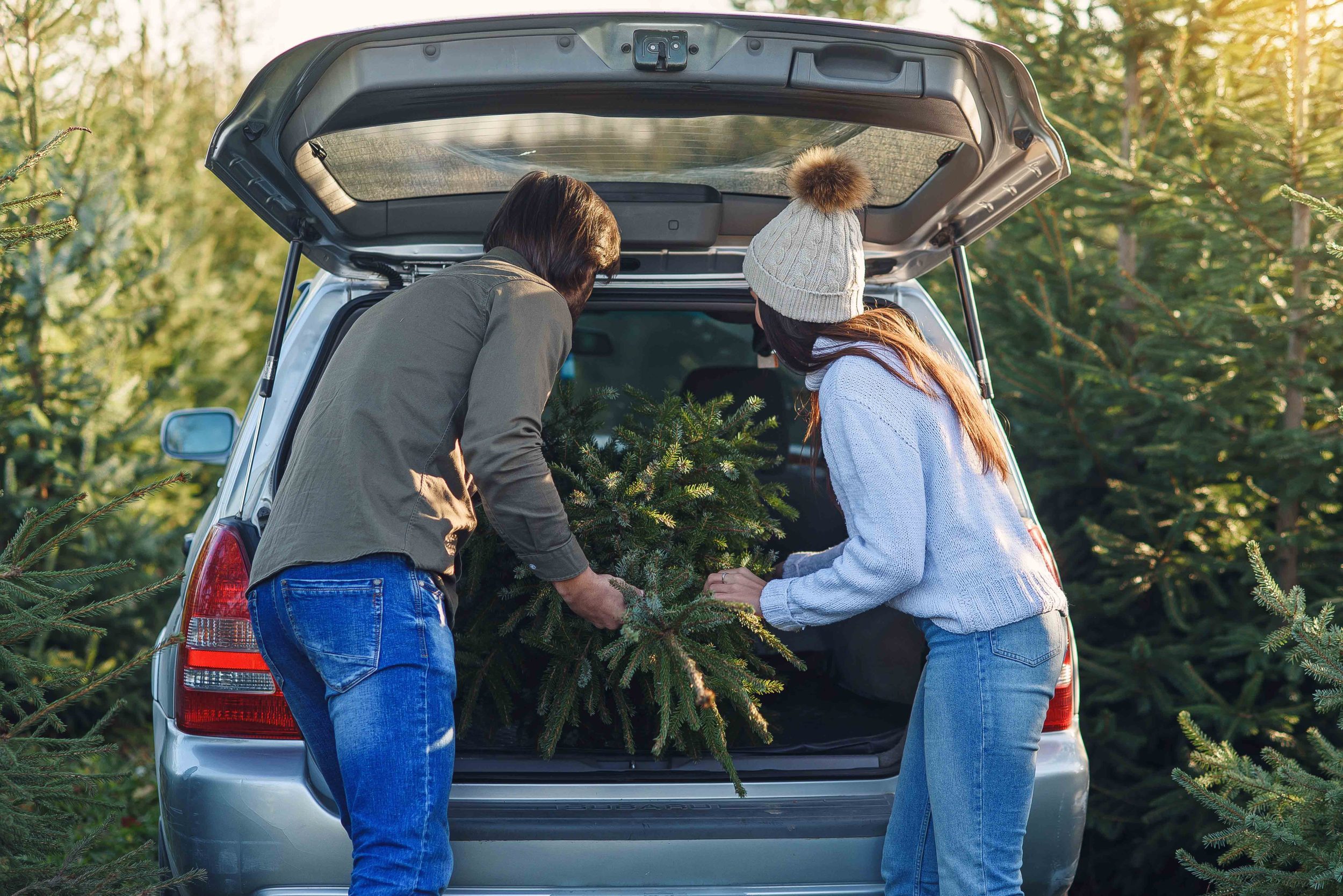 Everything you need to know about short-term car insurance this Christmas