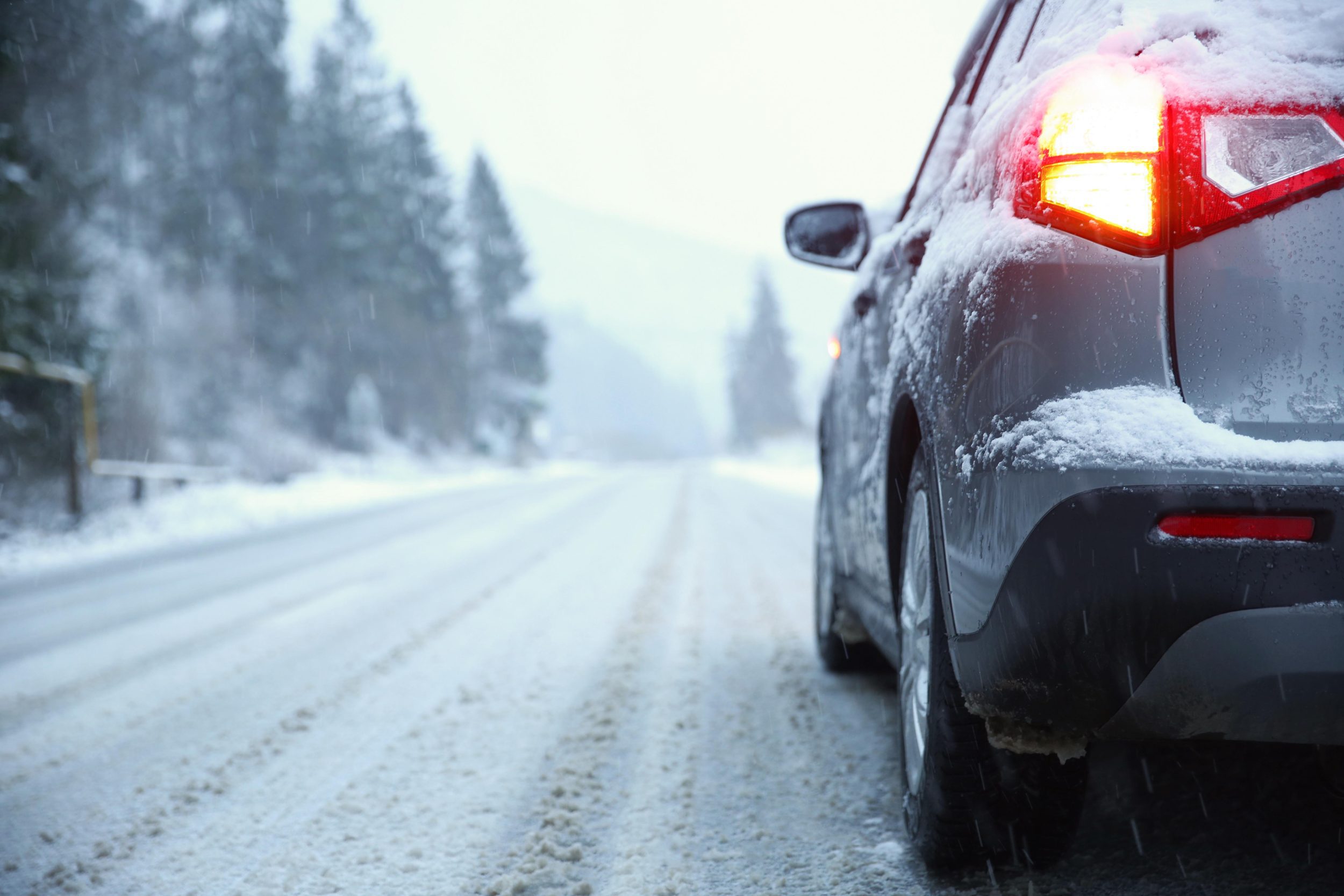 A learner's guide to practising over winter